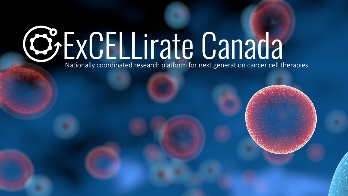 Matching ExCELLirate Canada funding from The Ontario Research Fund