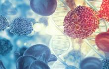 GCAR1CIHR funding announced to study CAR T-cell therapy for patients with GPNMB-Expressing solid tumors