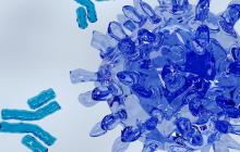 IND245 IND246 CCTG led cell therapy trials are now open in Canada