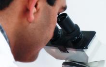 GI committee recognizes new investigators GI committee recognizes new investigators