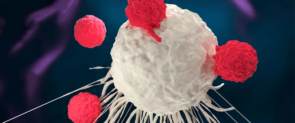 NIMBLe study explores a potential non-invasive approach to identify tumor mutations