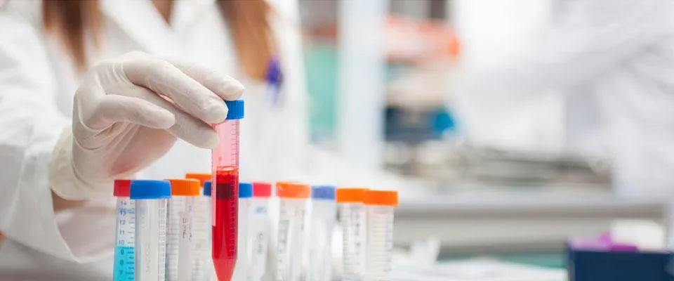 Senior Investigator in the Investigational New Drug (IND) Program