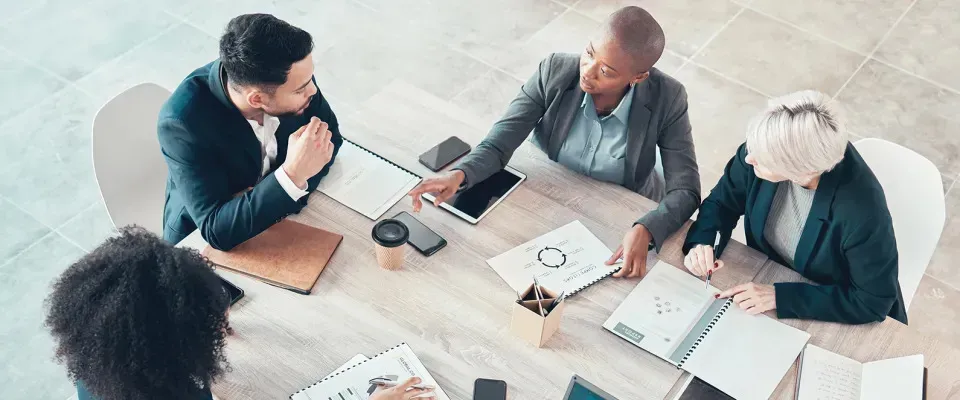 Launch of the VISION investigator leadership mentoring and training program